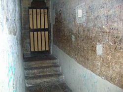 d0000760_236182.jpg
