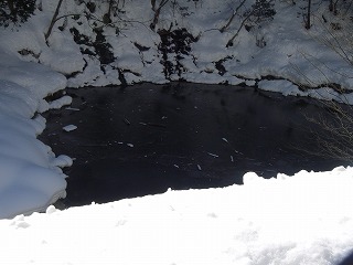 e0066062_1248855.jpg