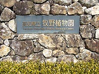 c0027965_133514.jpg