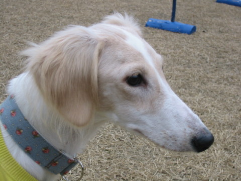 e0003270_13373083.jpg