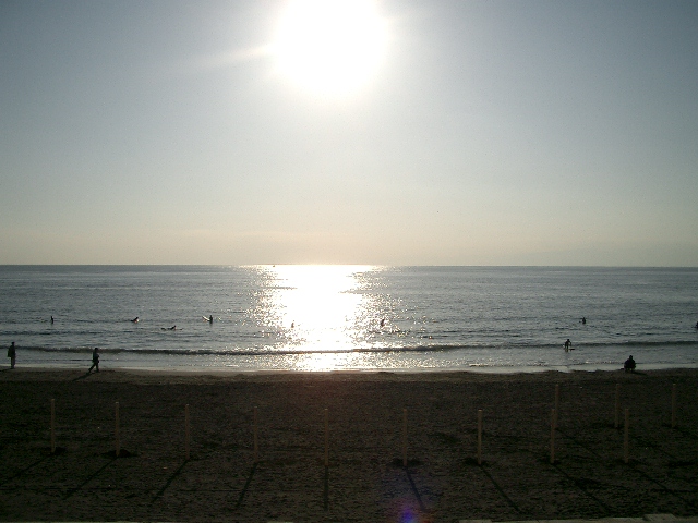 a0024487_203506.jpg