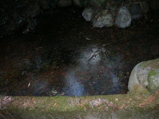 e0052088_18121781.jpg