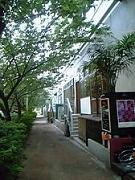 a0055889_1234913.jpg