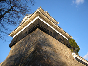a0050192_20585591.jpg