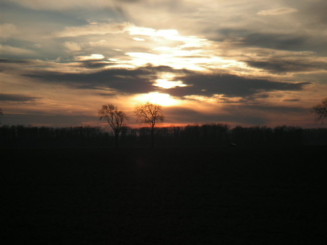 f0044892_7584641.jpg