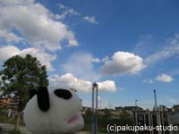 e0015195_362565.jpg