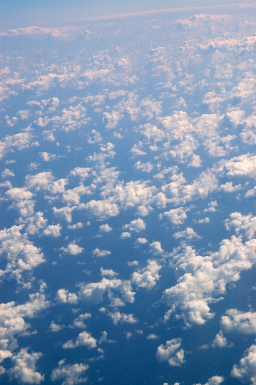 a0062697_21204972.jpg