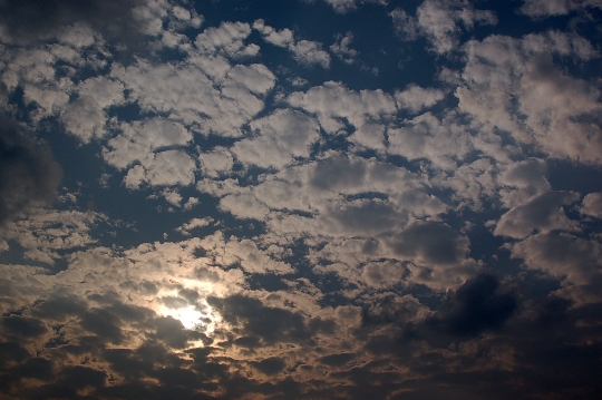 a0062697_23344259.jpg