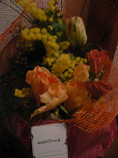 a0056498_22402459.jpg
