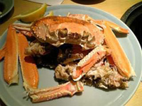 e0031798_23544662.jpg