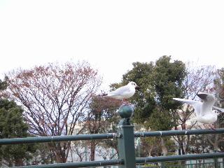 a0018200_18294267.jpg