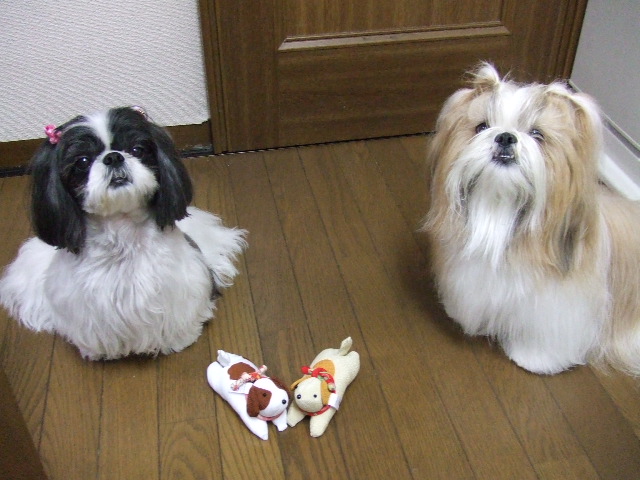 e0050801_0184037.jpg