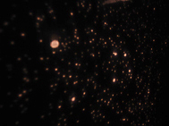 c0055305_2358431.jpg