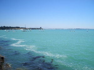 b0040606_17433958.jpg