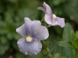 b0061107_22465121.jpg