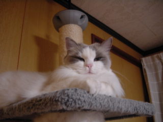 c0024410_20535287.jpg