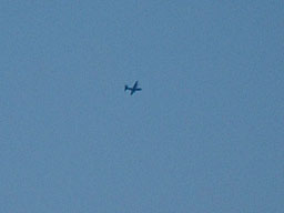 e0045319_093043.jpg