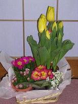 a0061620_16321792.jpg