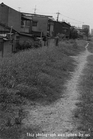 d0036630_959028.jpg
