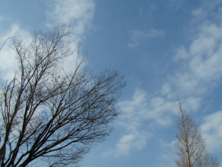 c0074156_2352682.jpg