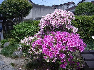 a0066258_2337553.jpg