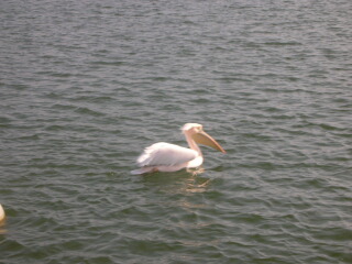 b0062060_2127730.jpg