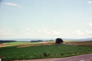 a0015766_21412164.jpg