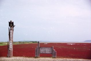 a0015766_21491997.jpg