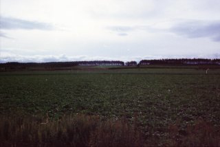 a0015766_2224439.jpg