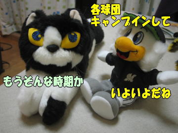 b0041182_23341928.jpg