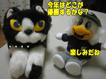b0041182_23475834.jpg