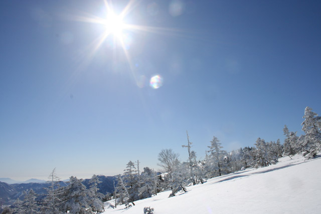 b0046290_982839.jpg