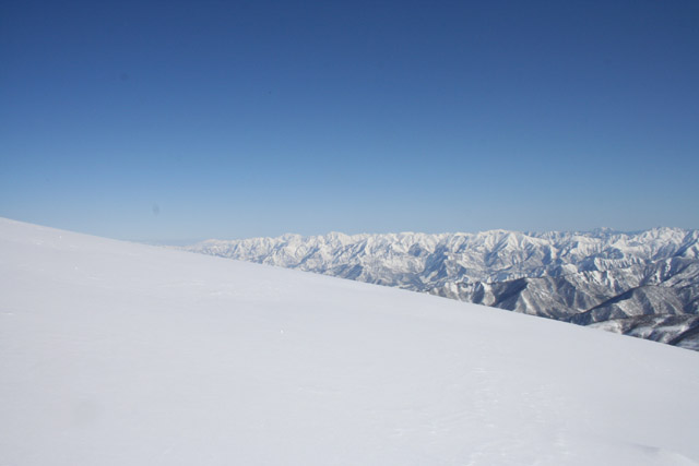 b0046290_993978.jpg