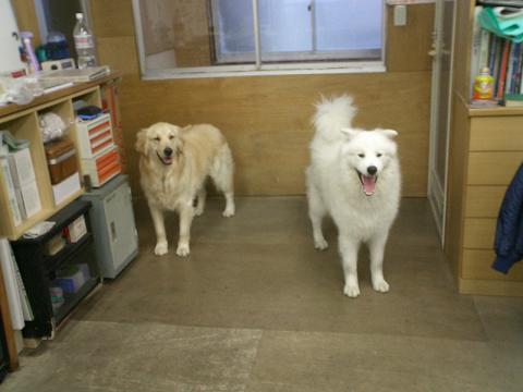 f0025103_15163773.jpg