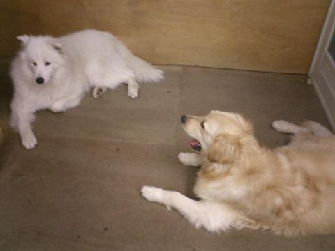 f0025103_15191624.jpg