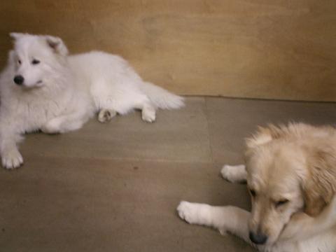 f0025103_15195039.jpg
