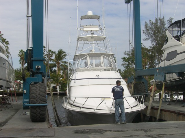 f0005206_1353377.jpg