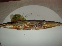 e0089710_5223379.jpg