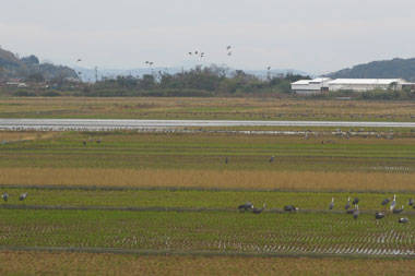 f0035016_1785136.jpg