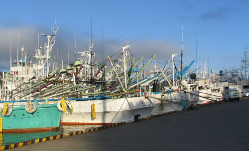 f0035016_851030.jpg