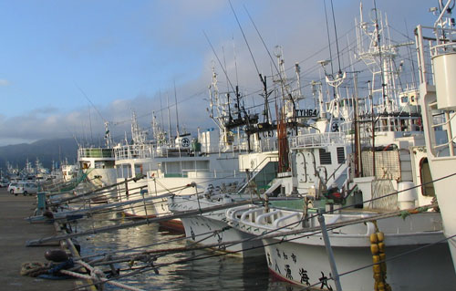 f0035016_8521465.jpg