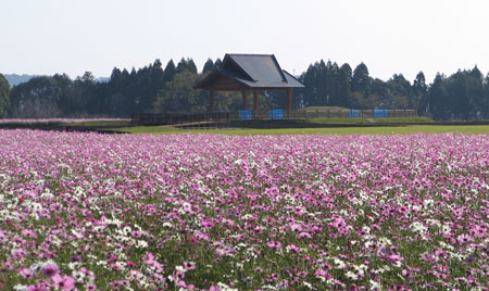 f0035016_981926.jpg