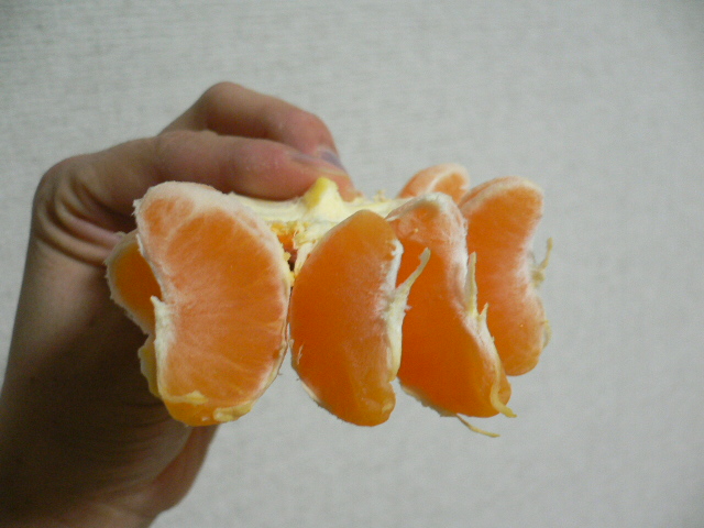 a0057238_0501695.jpg