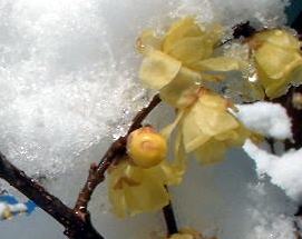 f0053342_20305878.jpg