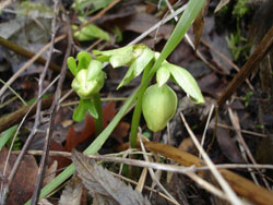c0068149_5275116.jpg