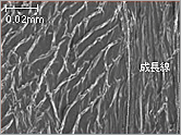 a0009666_1739303.gif