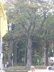 b0039373_1724891.jpg