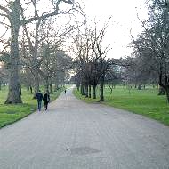 d0010182_2393347.jpg