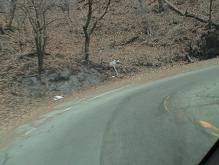 b0011185_04858.jpg