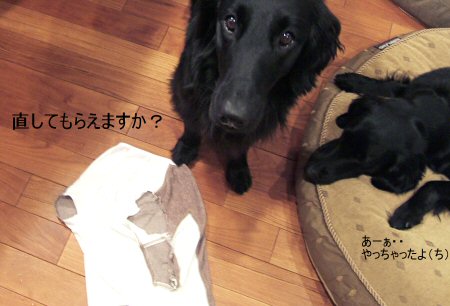 c0050400_19115857.jpg